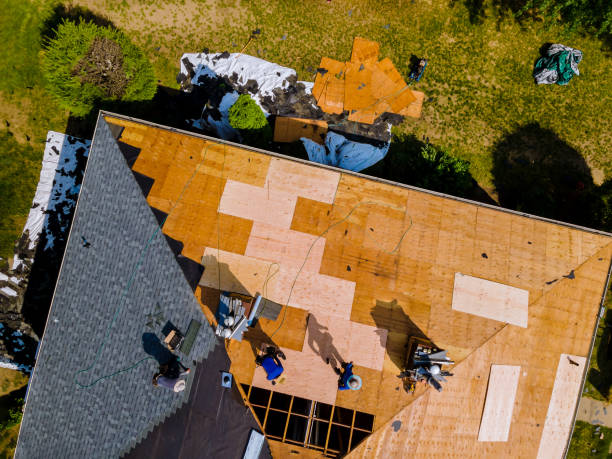Best Roof Gutter Cleaning  in Glenmoor, OH